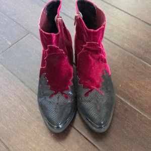 Matisse Velvet booties